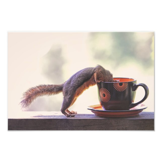 Squirrel and Coffee Cup Photo Print (Front)
