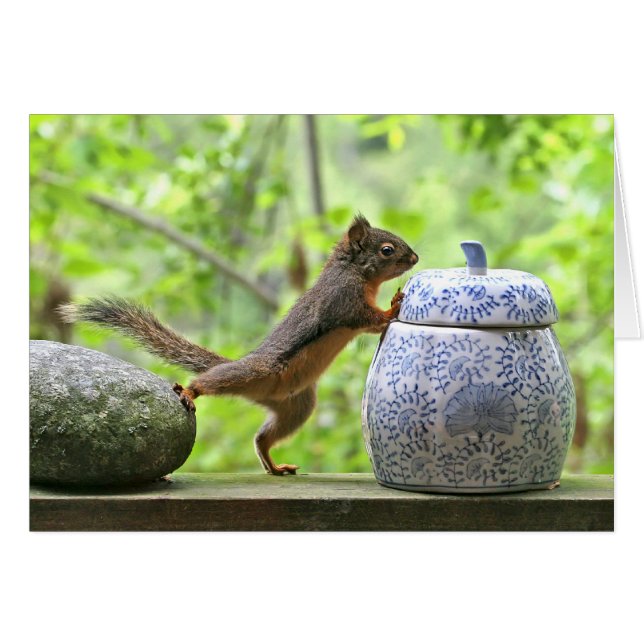 Squirrel and Cookie Jar (Front Horizontal)