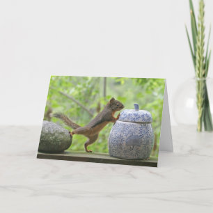 Squirrel and Cookie Jar Card
