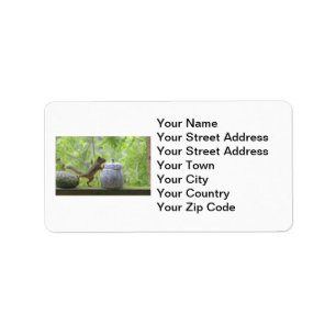 Squirrel and Cookie Jar Label