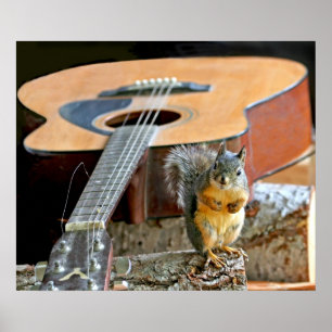 Squirrel and Guitar Poster