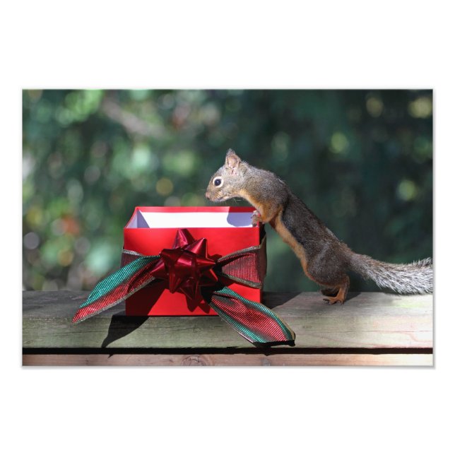 Squirrel and Open Present Photo Print (Front)