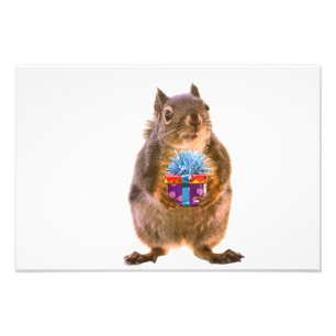 Squirrel and Present Photo Print