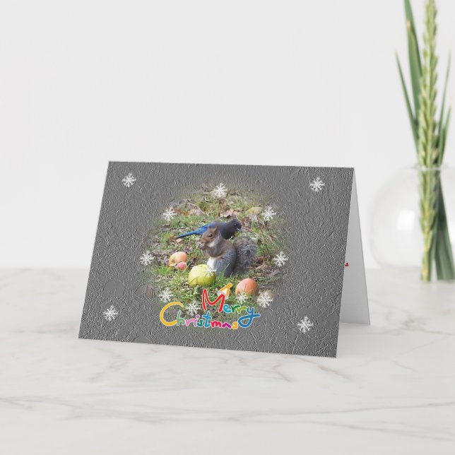 Squirrel And Steller Jay Friend Christmas Card (Front)