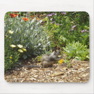 Squirrel and wild flowers mouse pad