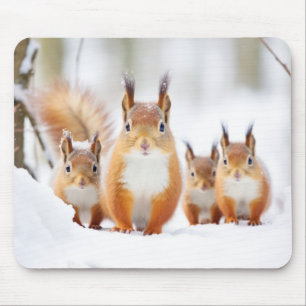 Squirrel Animal Family Wandering Nature Mouse Pad