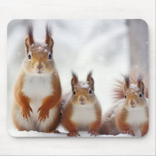 Squirrel Animal Family Wandering Nature Mouse Pad