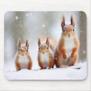 Squirrel Animal Family Wandering Nature Mouse Pad