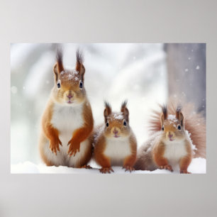 Squirrel Animal Family Wandering Nature Poster