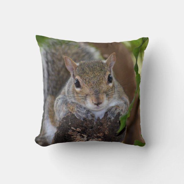 squirrel animal on log hanging out colour cushion (Front)