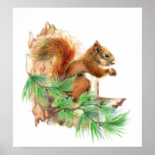 Squirrel Animal Wildlife Poster