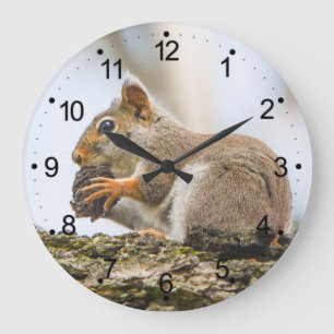Squirrel Animals Woodland Nature Large Clock