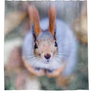 Squirrel - Anything To Bite Shower Curtain