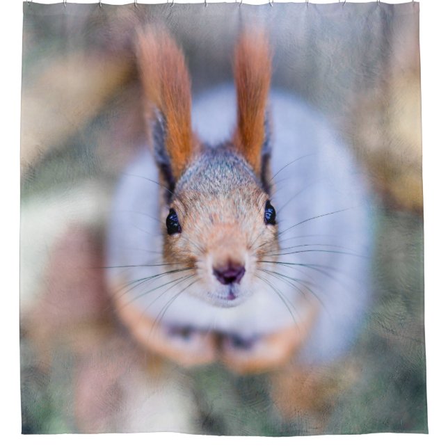 Squirrel - Anything To Bite Shower Curtain (Front)