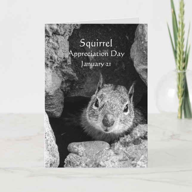 Squirrel Appreciation Day January 21 Photograph Card (Front)