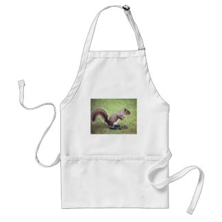 Squirrel apron
