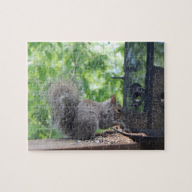 Squirrel At Bird Feeder Jigsaw Puzzle (Horizontal)