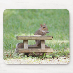 Squirrel at Picnic Table Mouse Pad