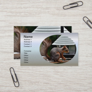 Squirrel at the Bird Feeder Business Card