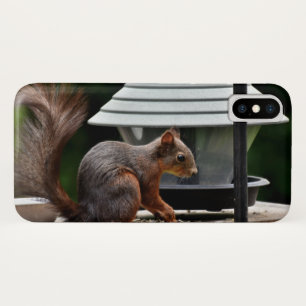 Squirrel at the Bird Feeder iPhone X Case