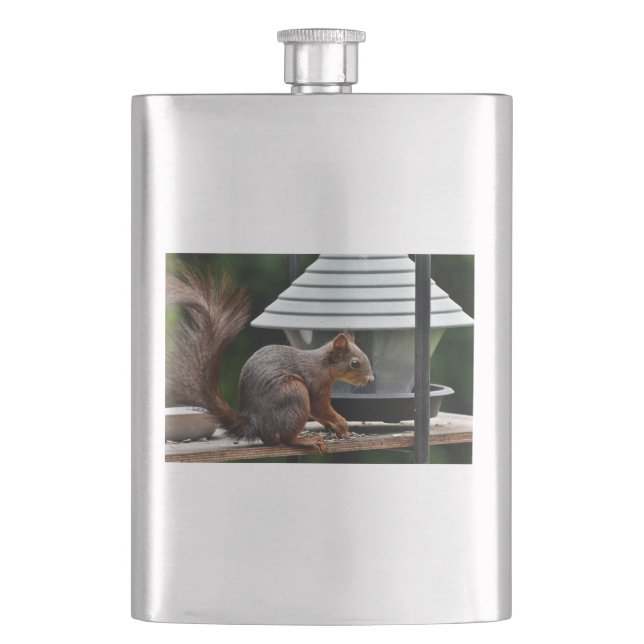 Squirrel at the Bird Feeder Hip Flask (Front)