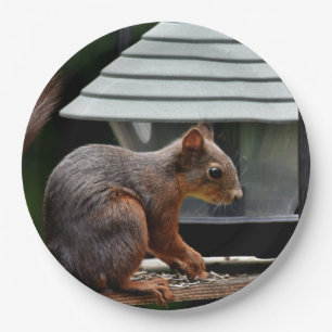 Squirrel at the Bird Feeder Paper Plate