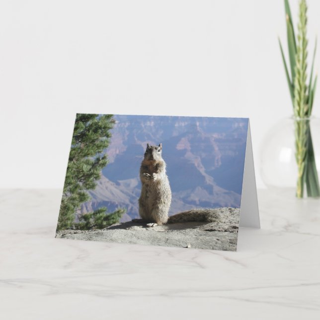 Squirrel at the Grand Canyon Card (Front)