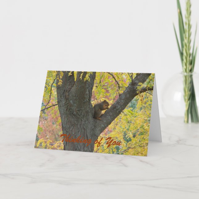 Squirrel&Autumn Colours, Thinking of You Card (Front)