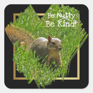 Squirrel Be Nutty Be Kind Sticker