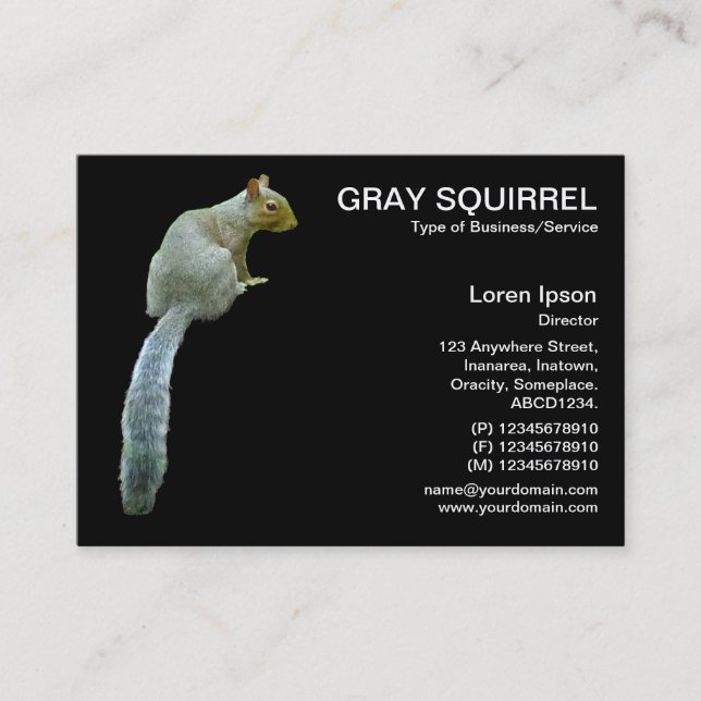 Squirrel - Black Business Card (Front)