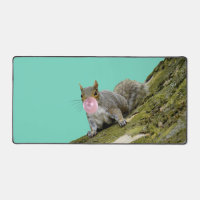 Squirrel Blowing a Bubblegum Bubble Animal Photo