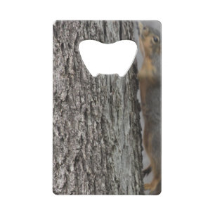 Squirrel Bottle Opener