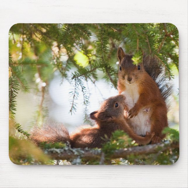 Squirrel Breastfeeding Mouse Pad (Front)