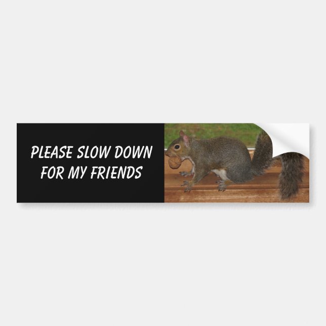 Squirrel bumper sticker (Front)