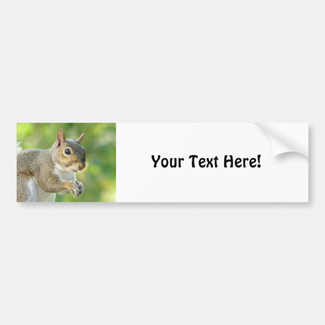 Squirrel Bumper Sticker (Front)