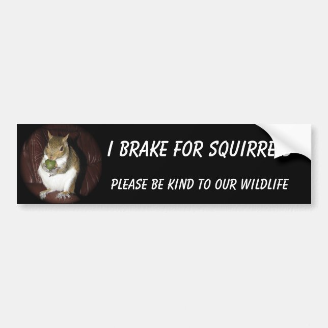 Squirrel bumper sticker featuring "Summer" (Front)
