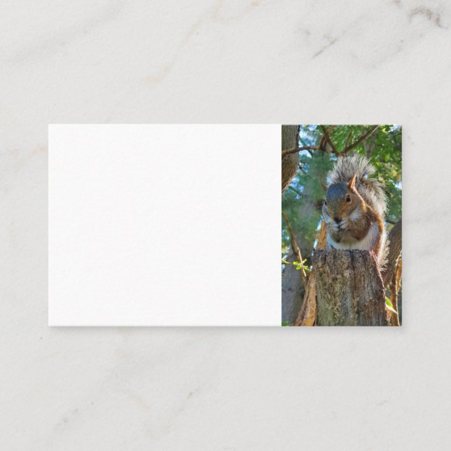 Squirrel Business Card (Front)