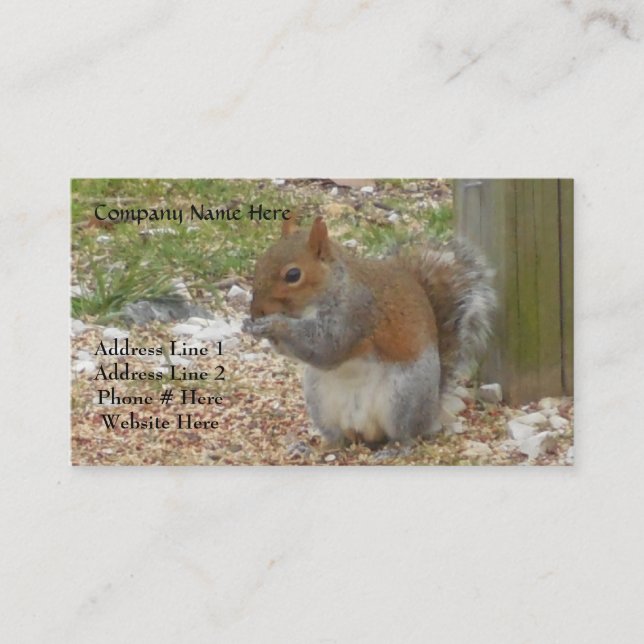 Squirrel Business Cards (Front)