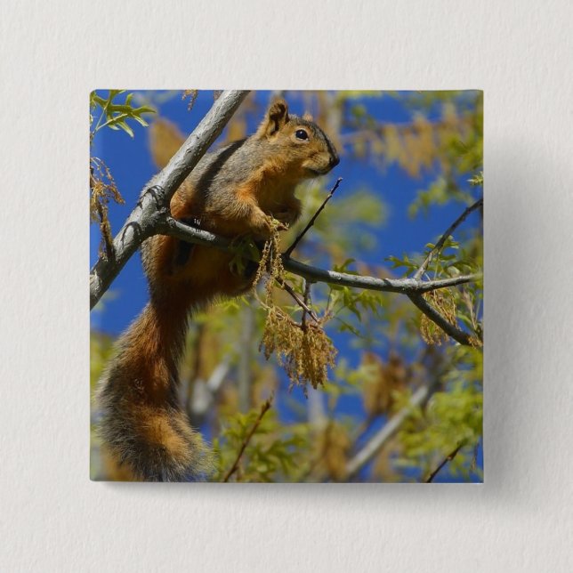 Squirrel button (Front)