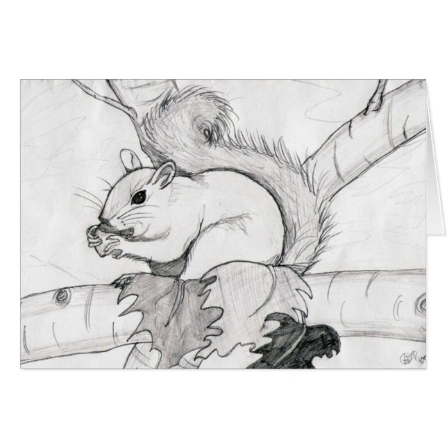 squirrel by shokara (Front Horizontal)