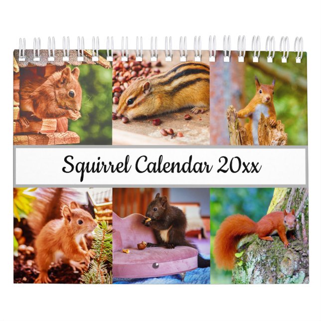 Squirrel Calendar (Cover)