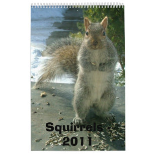 Squirrel Calendar 2011