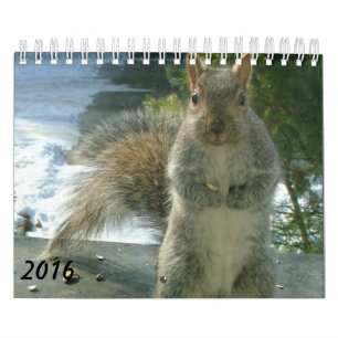 Squirrel Calendar 2016