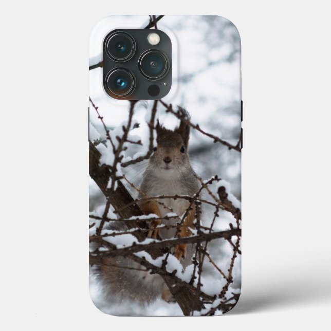 Squirrel Case-Mate iPhone Case (Back)