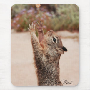 Squirrel catch 2 mouse pad