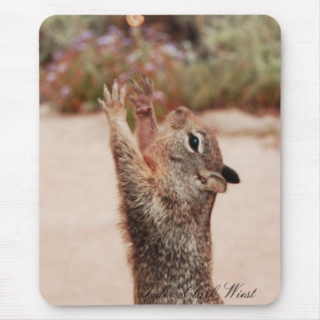 Squirrel catch 2 mouse pad (Front)