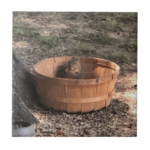 Squirrel Ceramic Tile