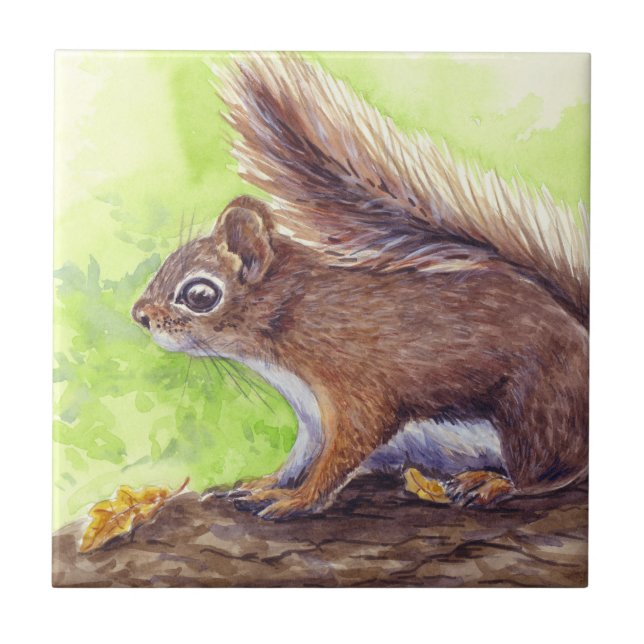 Squirrel Ceramic Tile (Front)