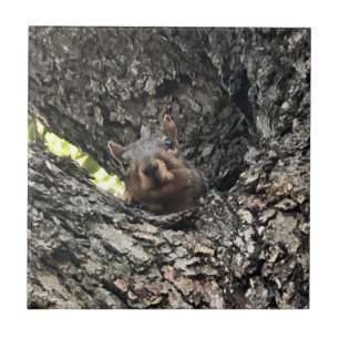 Squirrel Ceramic Tile
