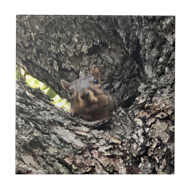 Squirrel Ceramic Tile (Front)